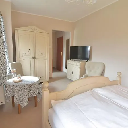 Bed & Breakfast Gosciniec Nowa Wioska 3*