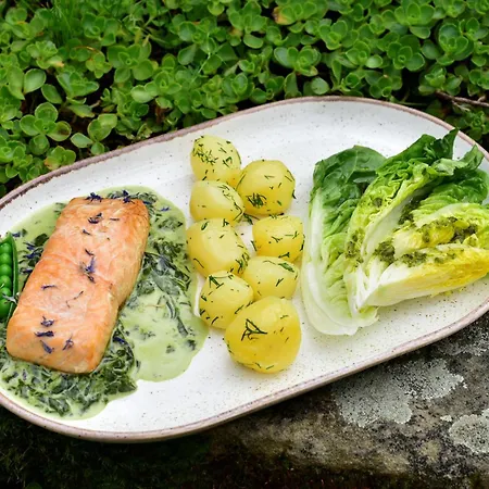 Nocleg ze śniadaniem Nowa Wioska