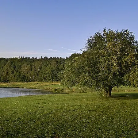 Bed & Breakfast Gosciniec Nowa Wioska 3*