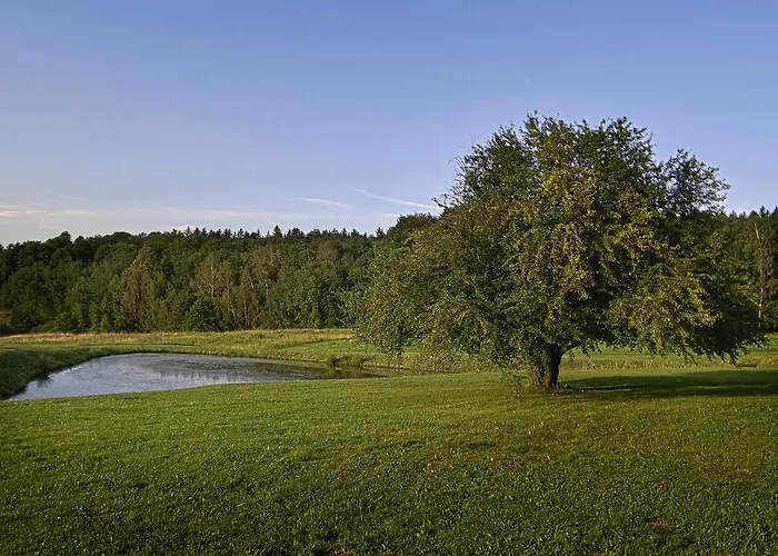 Bed & Breakfast Gosciniec Nowa Wioska 3*